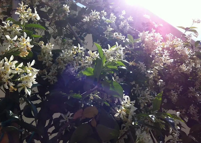 MareeHotel Cesenatico